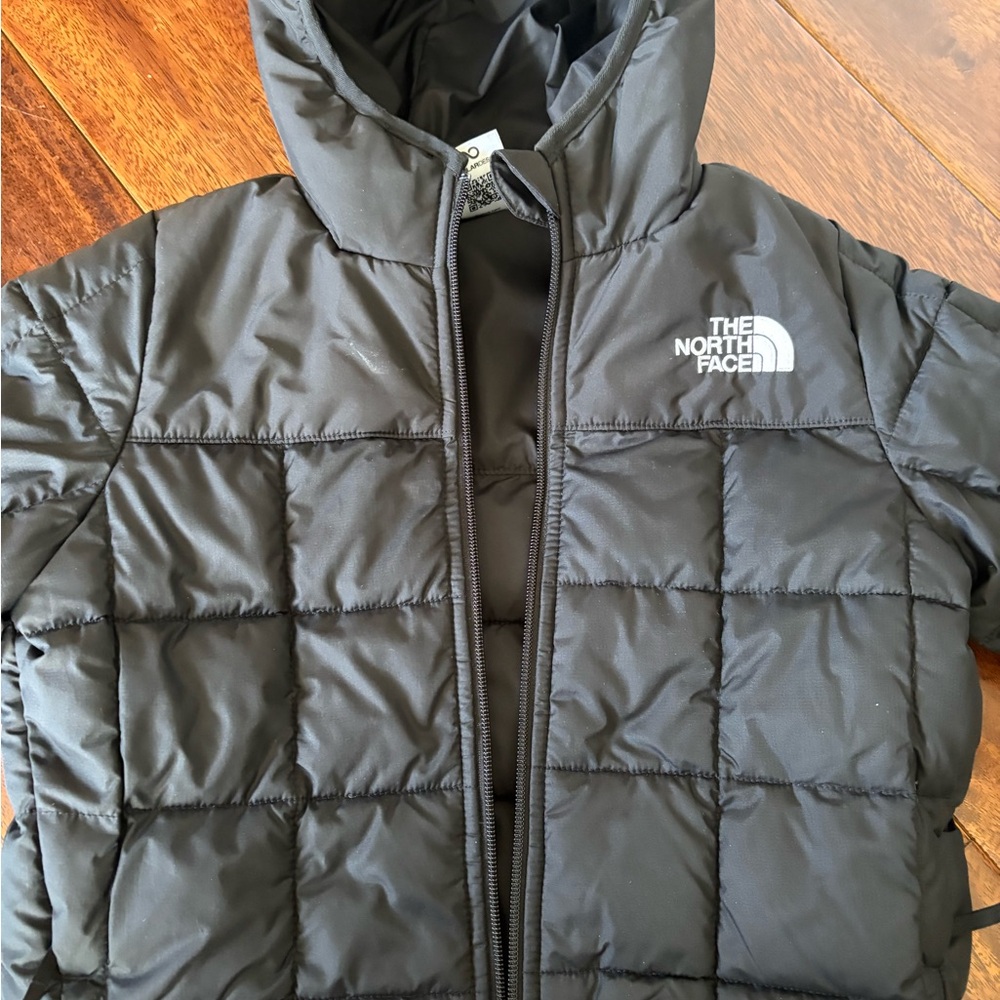 The North Face Kids Black Hooded Puffer Jacket